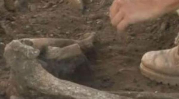 descoperire arheologica importanta langa ploiesti oseminte din epoca bronzului scoase la lumina dupa 5 000 de ani