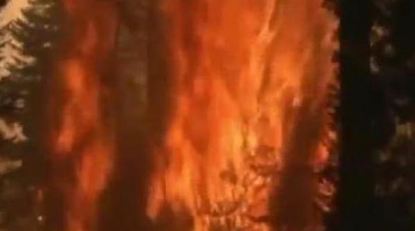 incendiile fac ravagii in nordul californiei unde autoritatile au decretat stare de urgenta video