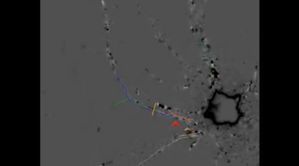 uluitor a fost realizata prima filmare in interiorul unui neuron cerebral video