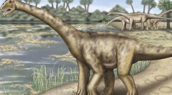 inca o aroganta din franta dinozaurul tigan recent descoperit seamana cu verii din romania