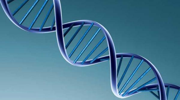 excesul de alcool perturba adn ul