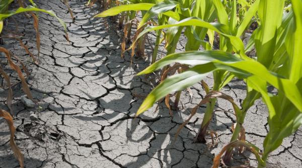 anm avertizeaza seceta va continua sa afecteze sudul estul si vestul tarii vezi prognoza meteorologilor