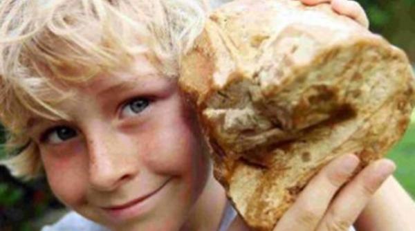 incredibil o bucata de voma de balena costa 63 000 de dolari vezi la ce e folosita