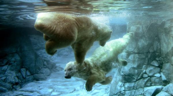 30 august 2012 imaginile zilei