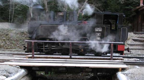 calea ferata forestiera mocanita ultima din europa
