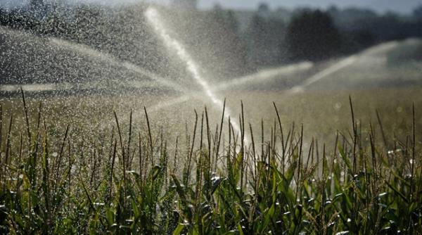 ministrul agriculturii cere sprijinul investitorilor chinezi pentru refacerea sistemului de irigatii din romania