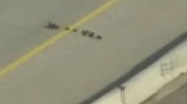 video cum traverseaza o rata impreuna cu puii ei o autostrada