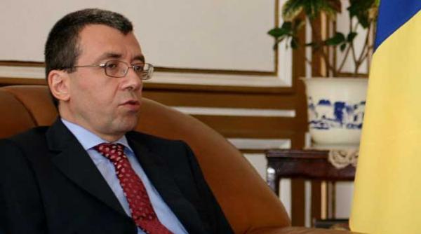 mihai voicu romania trebuie sa isi concretizeze avantajele in relatia cu china