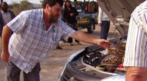 au trait socul vietii lor ce au gasit sub capota masinii