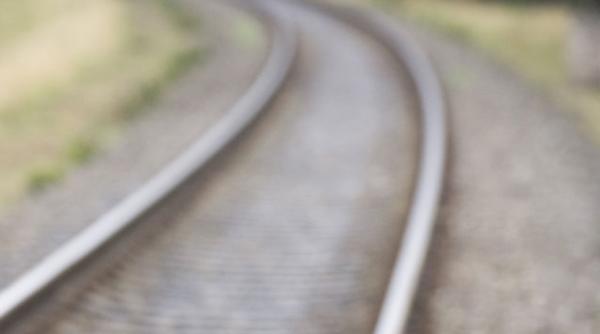 sfarsitul tragic al unui caine erou