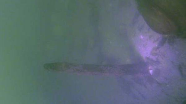 corabie medievala intacta descoperita pe fundul dunarii