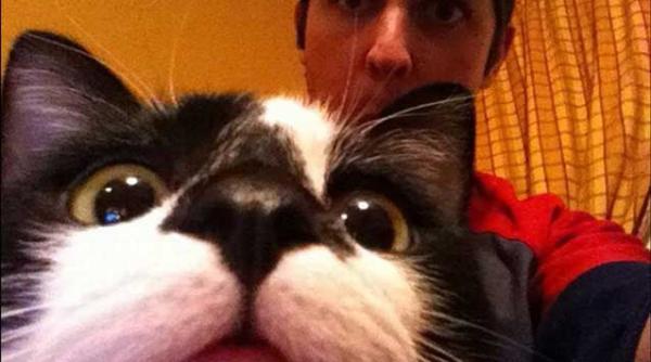 expresia mereu exista cineva sa ti strice poza nu se aplica doar la oameni