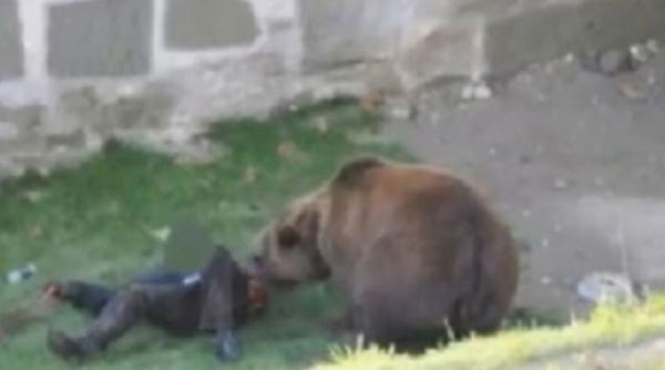 autopsia ursului ucis in dambovita s a incheiat animalul era cel care a ucis o persoana si suferea intr adevar de turbare