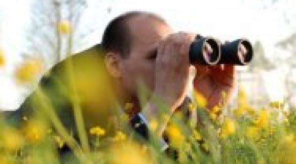 detectiv de romania sau cum sa filezi profilul