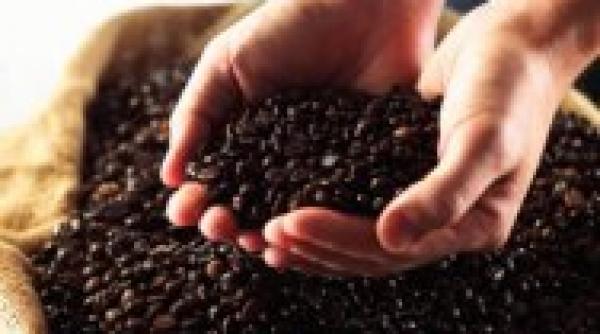 viitorul citit intr o ceasca de cafea gourmet