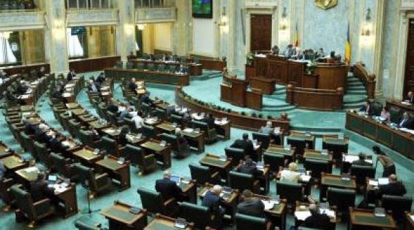 horia razvan garbea si vladimir simon au primit girul senatului pentru a deveni vicepresedinti ai icr