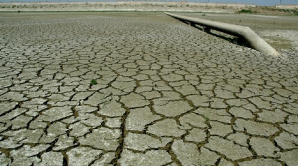 atentie suntem in pragul unei crize globale a alimentelor