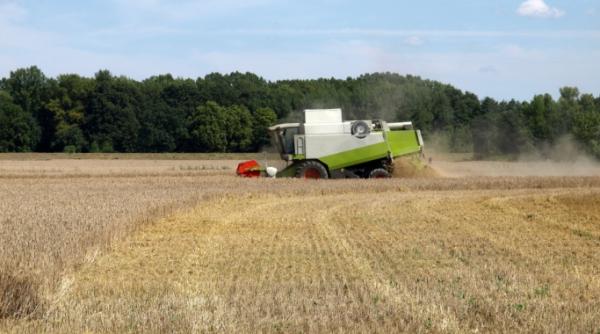 cele 4 motive pentru care omenirea risca o criza a alimentelor