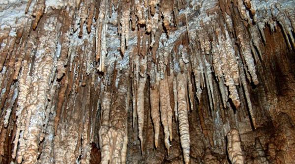 bistrita nasaud proiect de peste un milion de lei din bani europeni pentru pestera tausoare