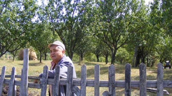 noi crestem ursii si bogatasii profita