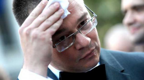 premierul papagal servetele puff unghiera distilerie trabucuri