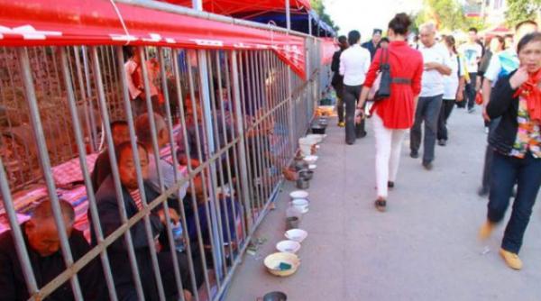 foto cersetori chinezi pusi in custi ca sa nu deranjeze turistii