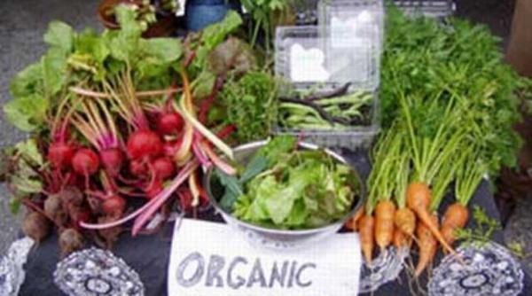 stanford organic nu inseamna neaparat sanatos