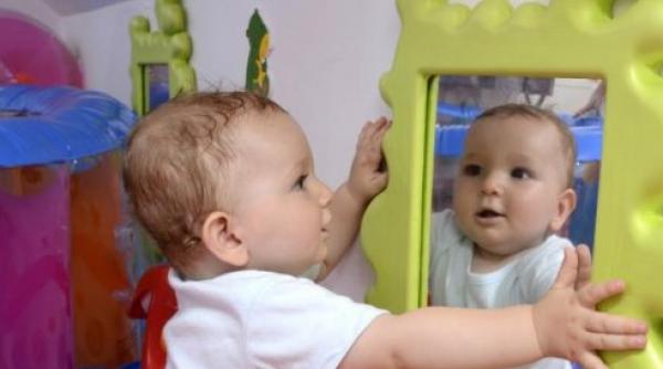 ce trebuie sa stii despre infiintarea unei crese