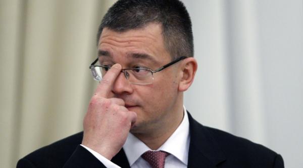 premierul crevete servetele puff unghiera distilerie trabucuri papagal