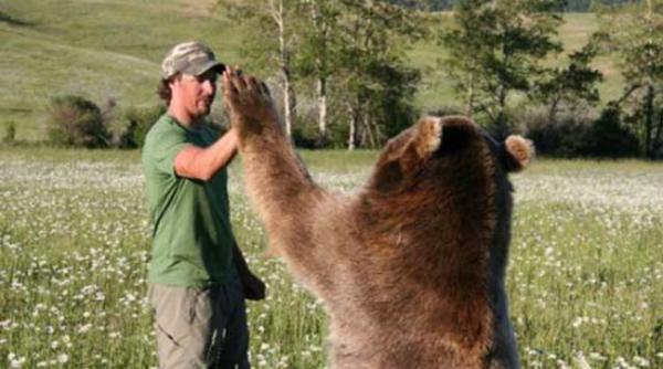 video prietenia impresionanta dintre un om si un grizzly