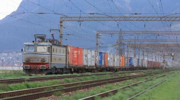 diaconescu nu va putea licita ca persoana fizica la privatizarea cfr marfa de ce s a putut la oltchim