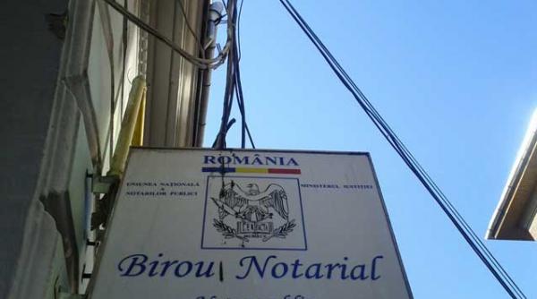 curtea de apel timisoara pepiniera de notari