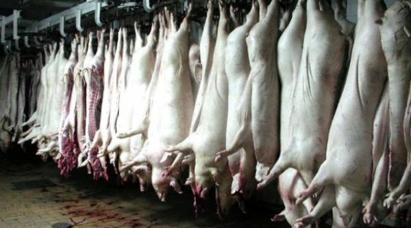 vine apo r calipsa carnea de porc si ar putea dubla pretul in urmatoarele 12 luni din cauza secetei