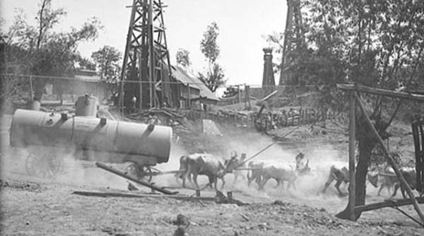 acum 100 de ani campina accidente la sonde