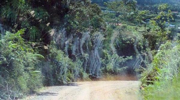 cutremurator marsul fantomelor soldatilor morti in al doilea razboi mondial ce a surprins un maior in fotografiile sale