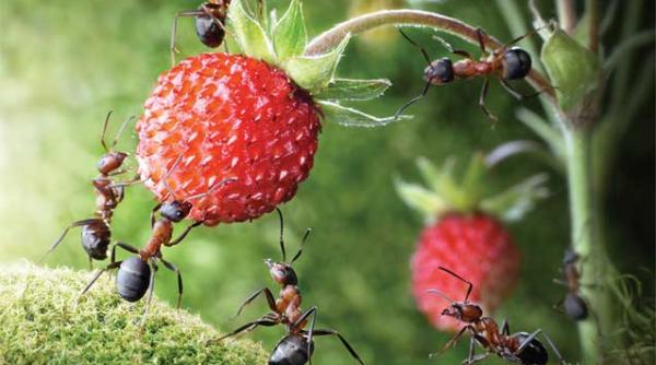 inainte si dupa oameni