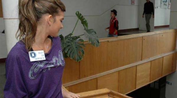 scolile deconcentratele si aeroportul mina de aur pentru firmele de paza