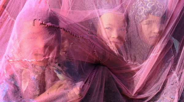 1 octombrie 2012 imaginile zilei