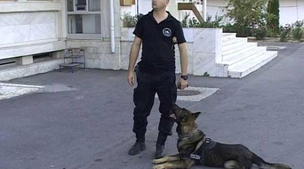 marco salvatorul copilului disparut