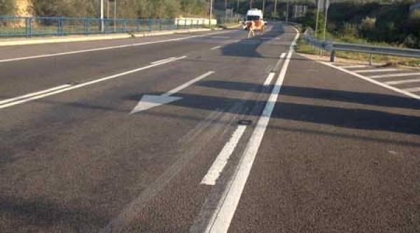 unde si cum si a petrecut week endul elena udrea poveste despre o vaca o autostrada si romania pitoreasca galerie foto