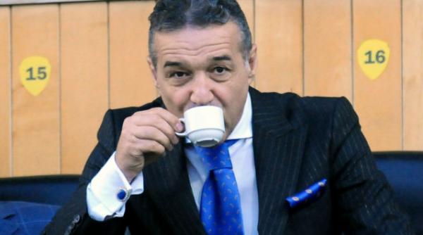 gigi becali vrea in parlament nu stie inca alaturi de cine pnl sau ard