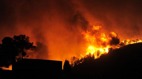 al qaeda incendii padure ue