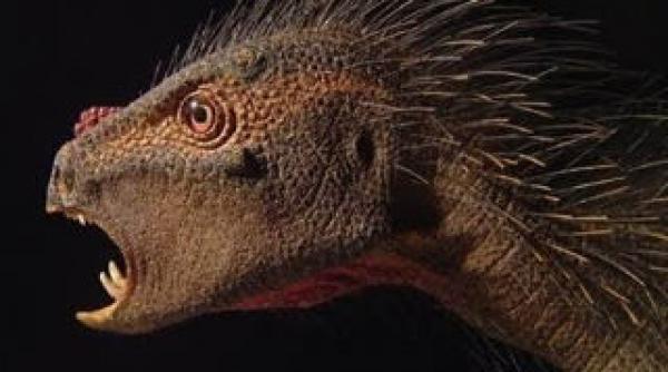 dracula dinozaur tepi colti vampir