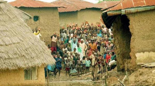 inundatii nigeria hipopotami crocodili