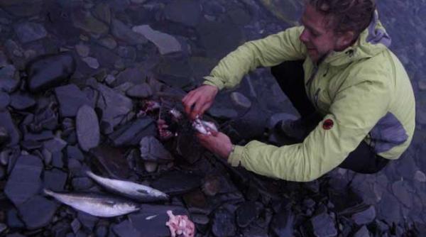 cu bicicletele prin norvegia