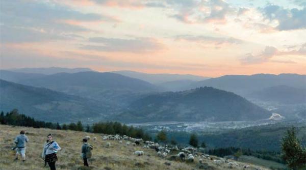 atelier de film documentar cu aristotel prin bucovina