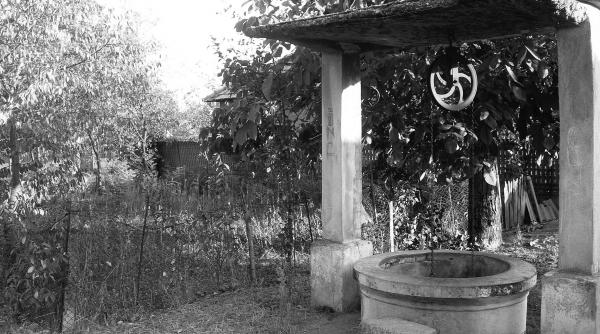 fantana dinspre drum