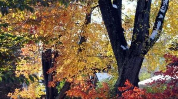 vreme calda pana in 17 octombrie vezi prognoza meteo pentru urmatoarele doua saptamani