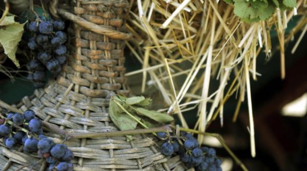 dealu mare podgorie reportaj afp