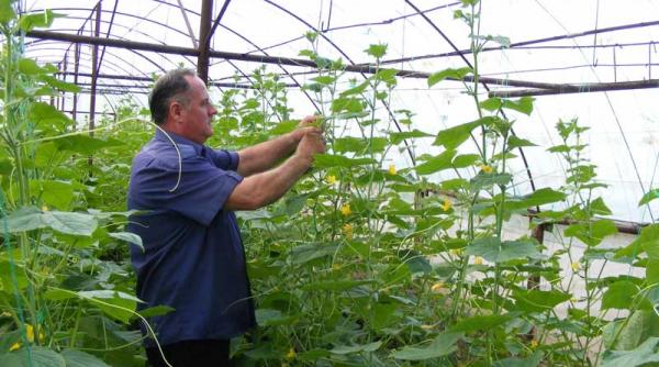 angajat la inchisoare multi ne taxeaza de batuti in cap dar ie nu mi a fost rusine de locul de munca